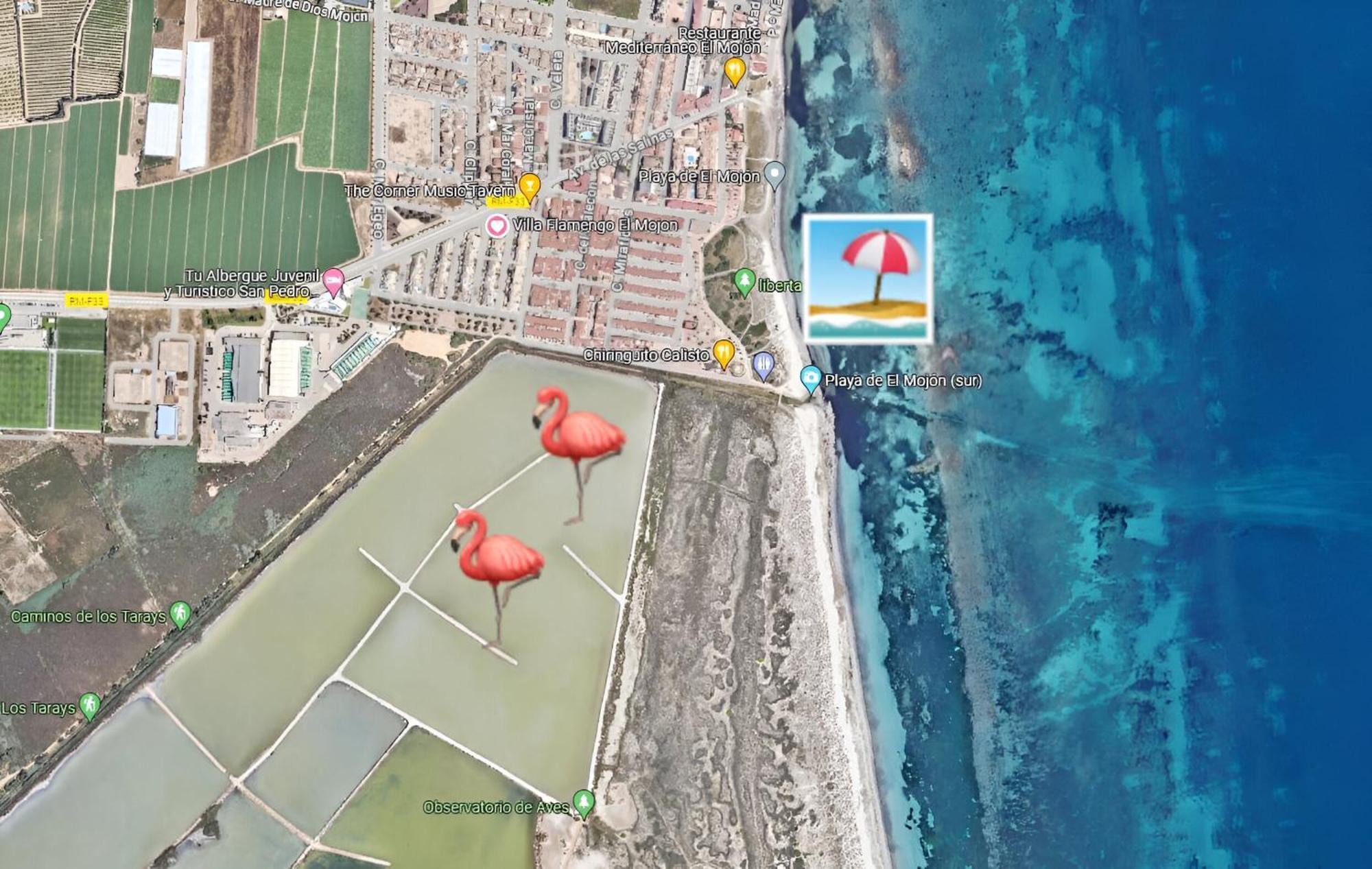 Flamingo Vila Alicante San Pedro del Pinatar Exteriér fotografie