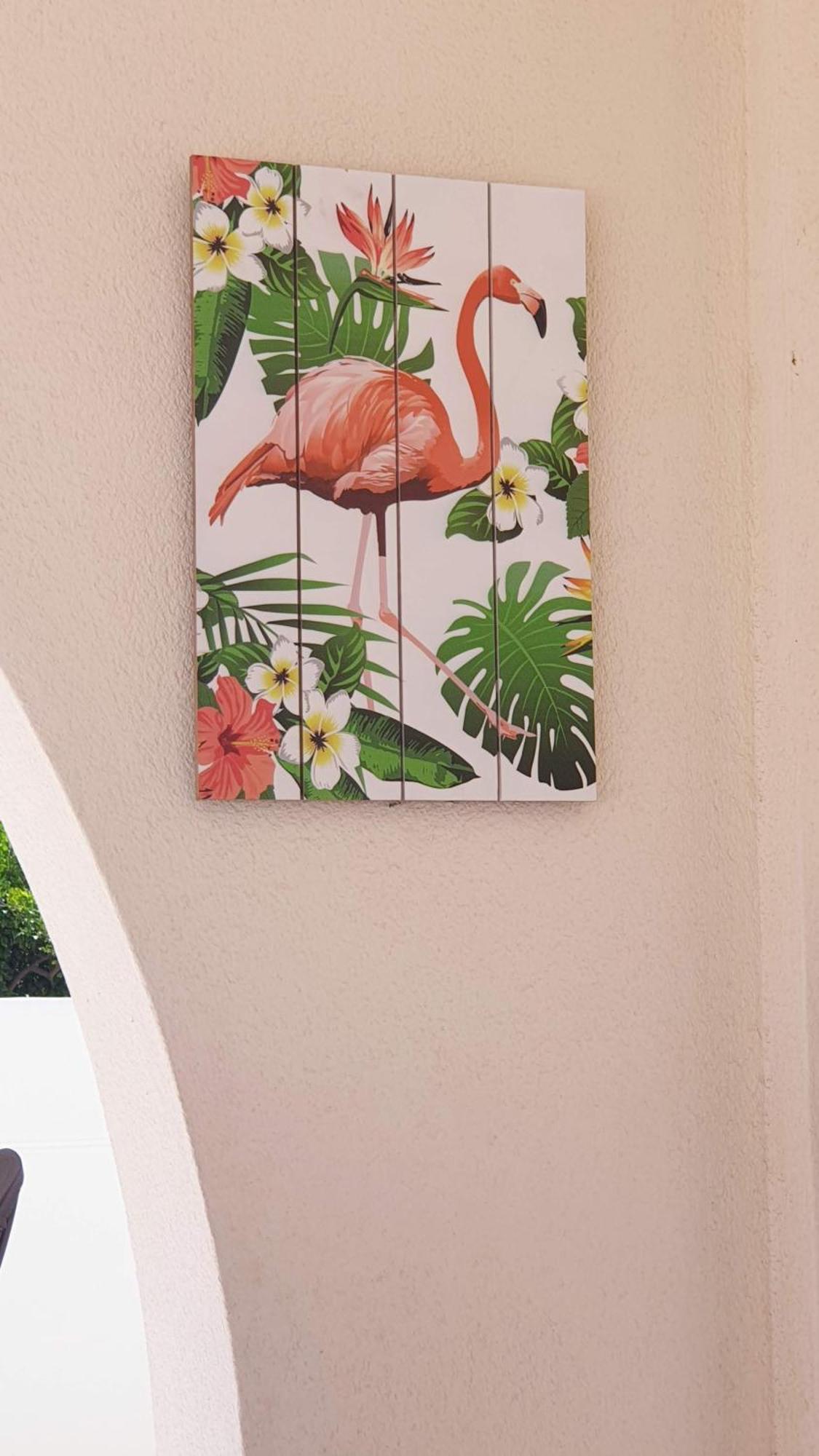 Flamingo Vila Alicante San Pedro del Pinatar Exteriér fotografie
